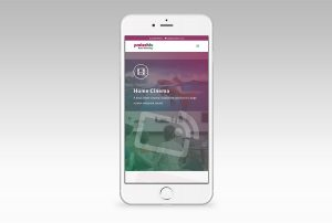 Small busienss website